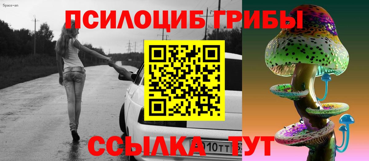 Псилоцибиновые грибы Psilocybe  Вход с VPN  Элиста 