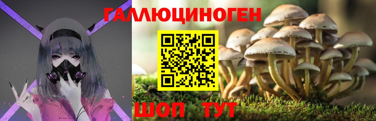 Галлюциногенные грибы Magic Shrooms Элиста